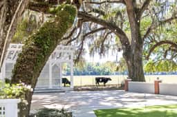 Suite #6 – The Junior Suite at 12 Oaks Club & Lodge | Boutique Inn Near The Villages