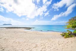 Grape Tree #10 - Luxe 2BR Ocean View Condo on Seven Mile Beach - Image 3