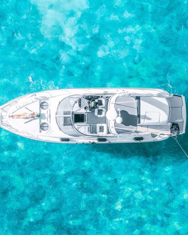 Swim, Snorkel, Kayak