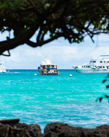Rum Point
