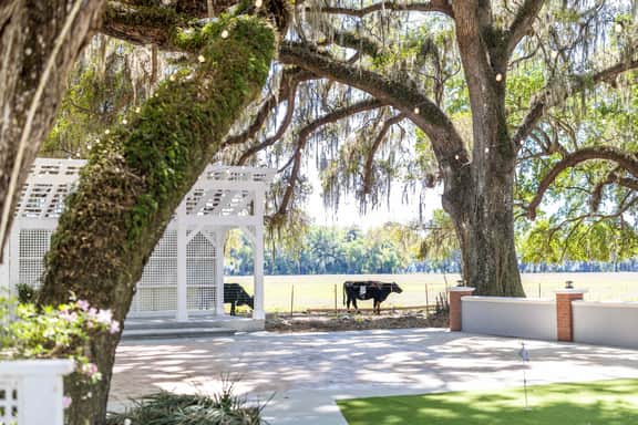 Suite #6 – The Junior Suite at 12 Oaks Club & Lodge | Boutique Inn Near The Villages