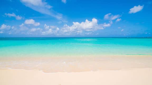 Laguna del Mar #8 | Oceanfront 4BR Condo | Seven Mile Beach - Image 2