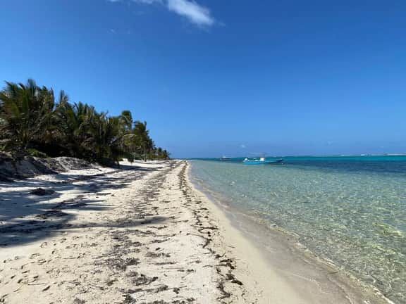 The No Problem Ocean View Studio Cottage in East End - Image 5