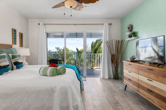 The Blue Iguana Oceanfront Studio Cottage in East End - Image 2