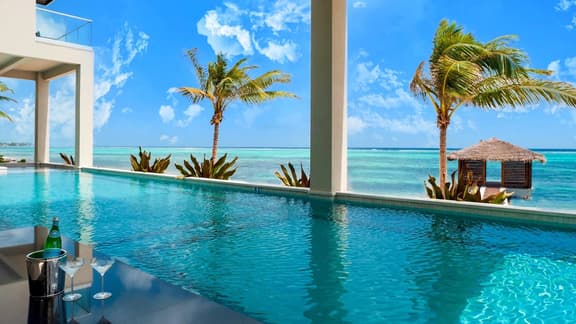 Black Urchin Resort - The Grand Palm Residence 7BR Oceanfront Villa - Image 1