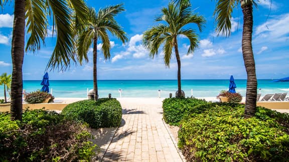 Laguna del Mar #10 - Oceanfront 3 bedroom on Seven Mile Beach - Image 1