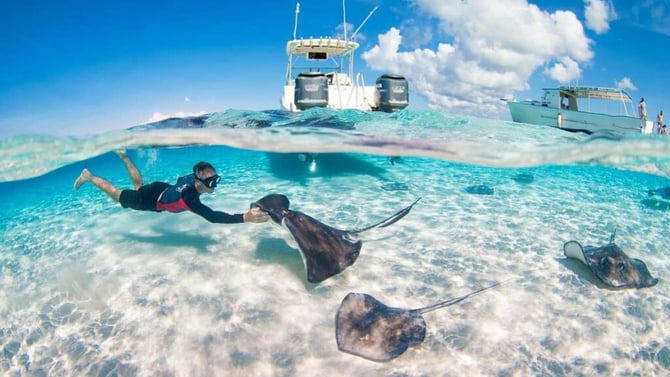 Stingray City Grand Cayman: Complete Visitor's Guide