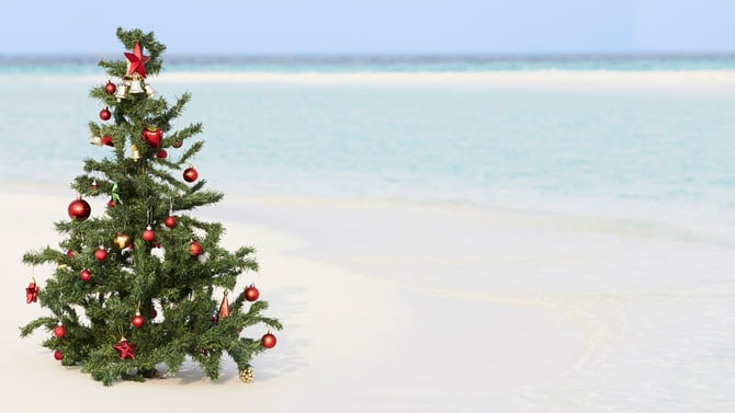 Christmas in the Cayman Islands: Escape the Winter Blues