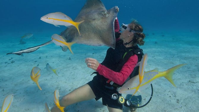 7 Grand Cayman Vacation Ideas for the first time visitor in 2025