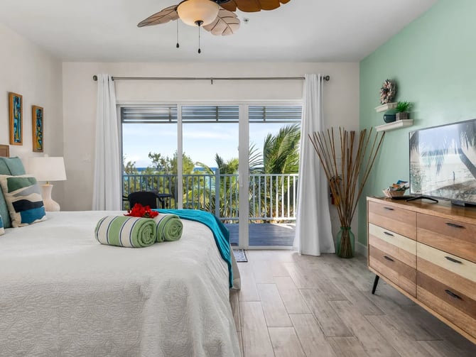 The Blue Iguana Oceanfront Studio Cottage in East End